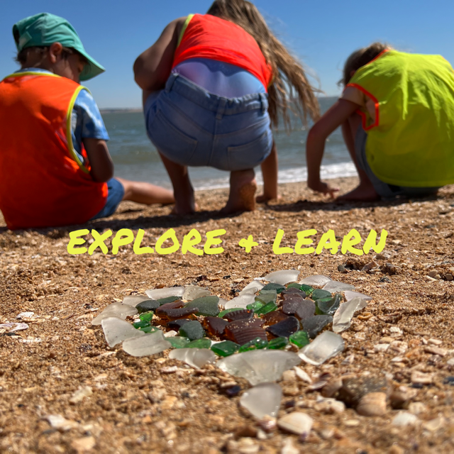 Explore and Learn